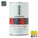 サンスター 健康道場 4つのベリーの恵み 160g 缶 60本 (30本入×2 まとめ買い) 〔果汁飲料〕