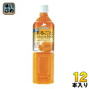 JAふらの 北海道まるごとにんじん100 900ml ペットボトル 12本入 〔野菜ジュース〕