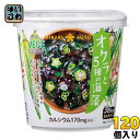 ひかり味噌 VEGE MISO SOUP オクラと5種の海藻＋カルシウム 120個 (60個入×2 まとめ買い) 〔べジミソスープ 即席みそ汁 味噌汁 生みそ インスタント 海草〕