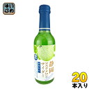 木村飲料 静岡マスクメロンサイダー 240ml 瓶 20本入 〔炭酸飲料〕