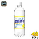 サンガリア 伊賀の天然水 強炭酸水 レモン 500ml ペットボトル 48本 24本入 2 まとめ買い 