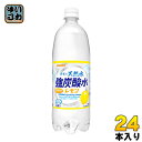 サンガリア 伊賀の天然水 強炭酸水 レモン 1L ペットボトル 24本 12本入 2 まとめ買い 〔炭酸水〕