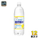 サンガリア 伊賀の天然水 強炭酸水 レモン 1L ペットボトル 12本入 〔炭酸水〕