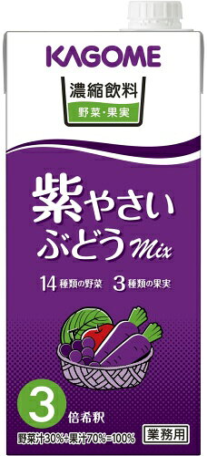 いわゆるソフトドリンクのお店のカゴメ 濃縮飲料 紫やさい・ぶどうミックス 3倍希釈 1L 紙パック 12本 (6本入×2 まとめ買い) 野菜ジュース 業務用｜アングル2