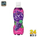 伊藤園 2種のこだわりぶどうスカッシュ 450ml ペットボトル 24本入 炭酸飲料 ぶどう