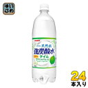 サンガリア 伊賀の天然水 強炭酸水 ライム 1L ペットボトル 24本 (12本入×2 まとめ買い) 炭酸水 強炭酸