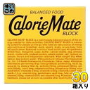 大塚製薬 カロリーメイトブロック チーズ味 4本入 30個入 バランス栄養食