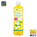 伊藤園 リラックスジャスミンティー VD用 460ml ペットボトル 30本入 ジャスミン茶 お茶 中国茶 自販機投入可能