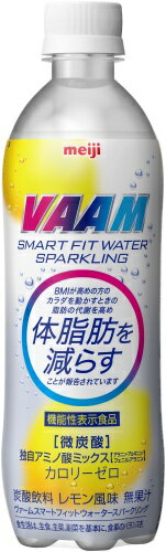 明治 VAAM ヴァーム スマートフィットウォーター スパークリング 500ml ペットボトル 24本入 機能性表示食品 微炭酸 スポーツドリンク カロリーゼロ 2