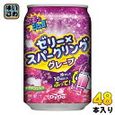 ダイドー ぷるっシュ!! ゼリー スパークリング グレープ 280g 缶 48本 24本入 2 まとめ買い ゼリー飲料 grape 振って飲む