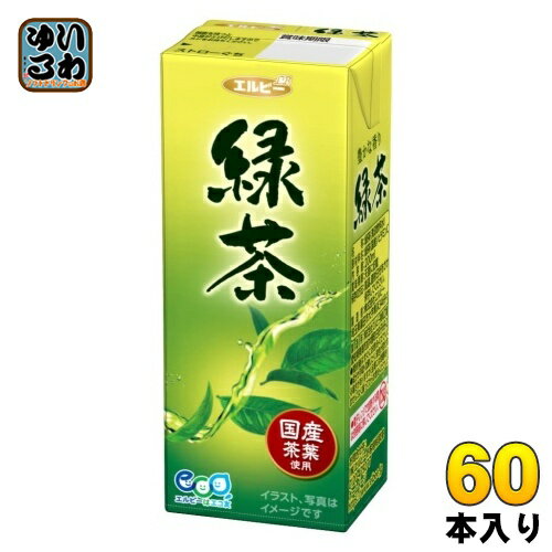 エルビー 緑茶 200ml 紙パック 60本 (30本入×2 まとめ買い) お茶 緑茶 グリーンティー
