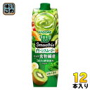 カゴメ 野菜生活100 スムージー グリーンスムージー 1000g 紙パック 12本 (6本入×2 まとめ買い) 野菜ジュース 食物繊維 Smoothie