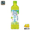 サントリー 緑茶 伊右衛門 冷茶仕立て 600ml ペットボトル 48本 (24本入×2 まとめ買い) お茶 緑茶 季節限定