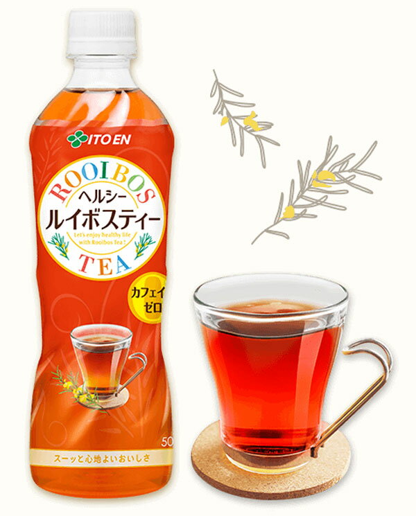 伊藤園 ヘルシールイボスティー 500ml ペットボトル 48本 (24本入×2 まとめ買い) 〔お茶〕