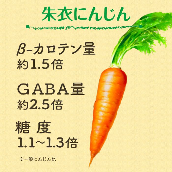 伊藤園 充実野菜 キャロット100 740g ペットボトル 15本入 野菜ジュース 朱衣にんじん
