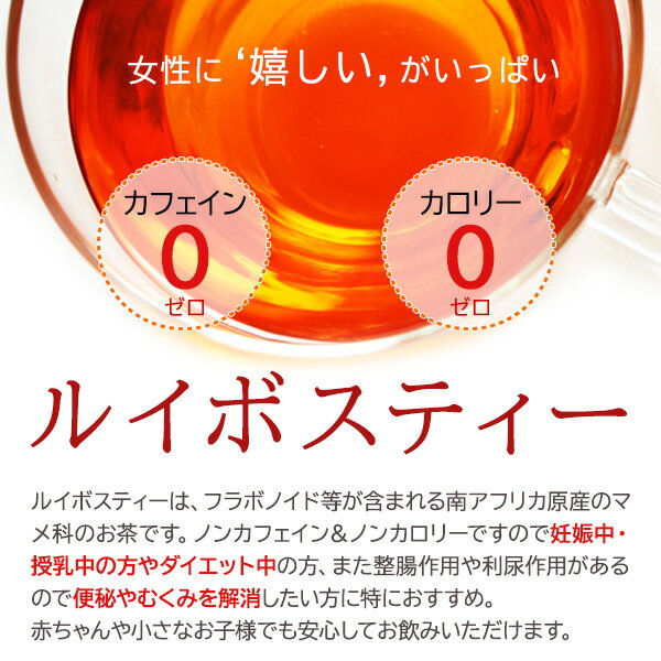 サーフビバレッジ ジンジャールイボスティー 500ml ペットボトル 24本入 お茶 機能性表示食品 ノンカフェイン ノンカロリー 3