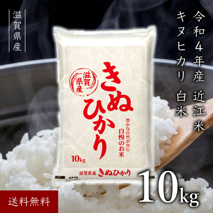 令和4年産 滋賀県産 10キロ キヌヒカリ 送料無料 近江米 きぬひかり 10kg ...