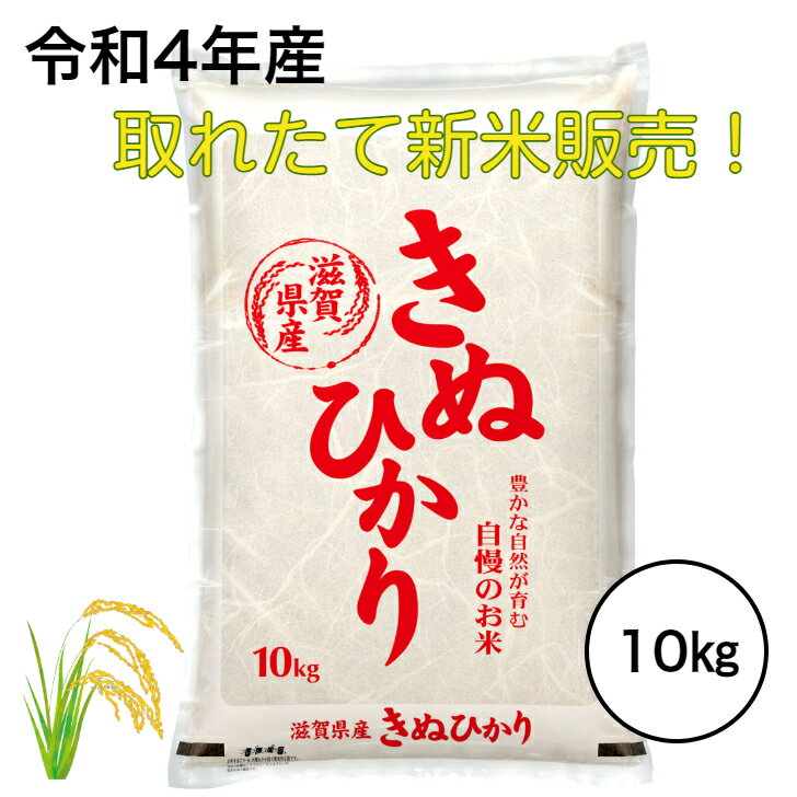 新米 令和4年産 新米 滋賀県産 新米10キロ キヌヒカリ 送料無料 近江米 きぬひ...