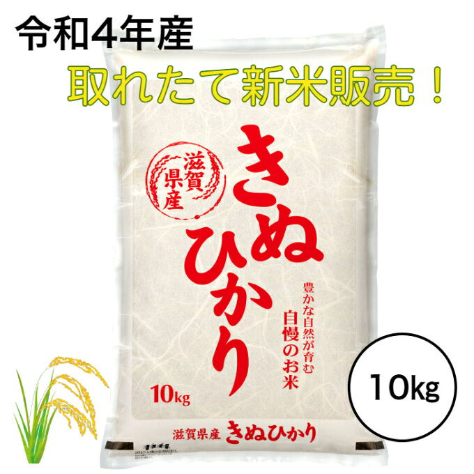 新米 令和4年産 新米 滋賀県産 新米10キロ キヌヒカリ 送料無料 近江米 きぬひかり 令和4年 10kg 10k 10キロ 令和4年度米 令和4年産 令和4 美味しいお米 米 10k 白米 米10kg 米10キロ 新米 米10キロ お米10キロ 白米10 美味しい こめ 新米10キロ お取り寄せ