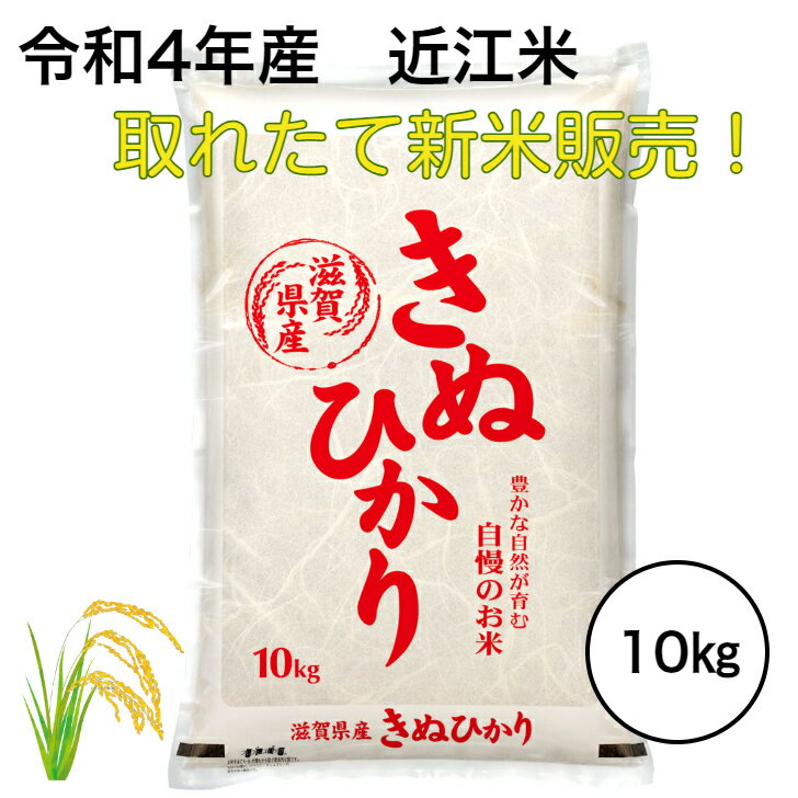 【新米クーポン9/4?9/11】令和4年産 新米！予約販売！取れたての新米をお届けし...