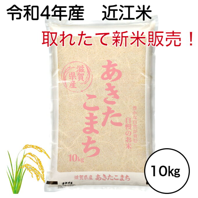 【新米クーポン9/4?9/11】令和4年産 新米！予約販売！取れたての新米をお届けします！滋賀県産 近江米 新米 令和4年 10kg 予約 新米予約 米 令和 10k 白米 送料無料 お米 あきたこまち 2022年 米10kg 米10キロ お米10キロ 白米10キロ こめ コメ 美味しい 10キロ