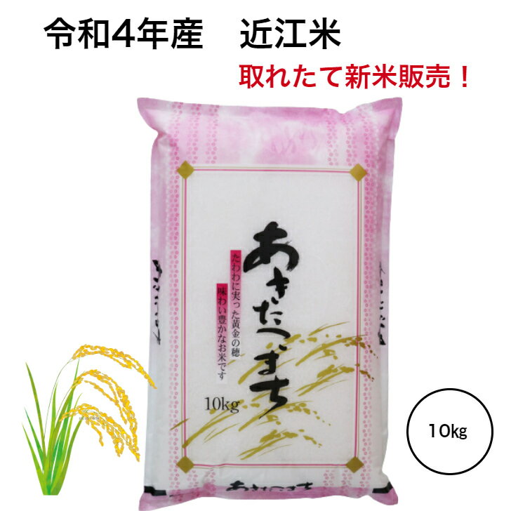 新米 令和4年産 新米！ 滋賀県産 近江米 あきたこまち 新米 米 10kg 送料無...