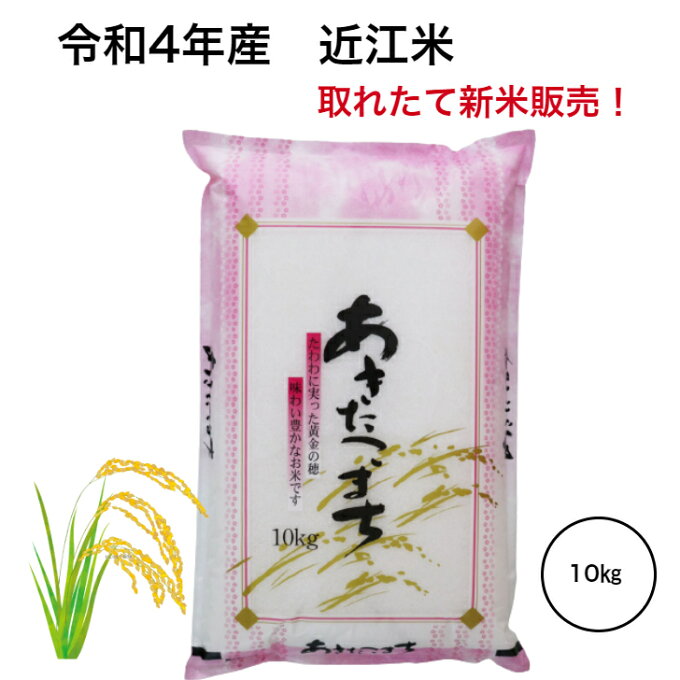 新米 令和4年産 新米！ 滋賀県産 近江米 あきたこまち 新米 米 10kg 送料無...