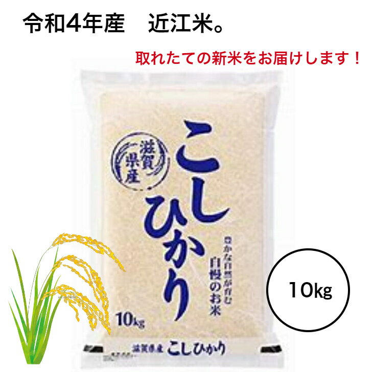 新米 令和4年産 新米！取れたての新米をお届けします！滋賀県産 近江米 コシヒカリ 新米 米 10kg 令和4年 予約 10k 白米 送料無料 美味しい お米 こしひかり 新米予約 米10kg 米10キロ 米10キロ新米 お米10キロ 白米10 こめ コメ