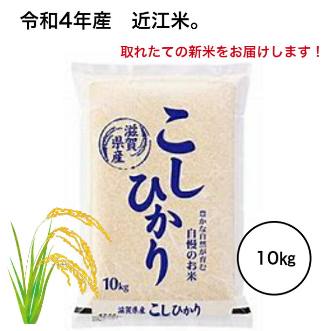 新米 令和4年産 新米！取れたての新米をお届けします！滋賀県産 近江米 コシヒカリ ...