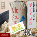 新米 近江米 令和7年 玄米 30kg 滋賀県産 ひとめぼれ 送料無料 滋賀県お米30キロ 滋賀 美味しいお米 玄米30キロ 30キロ 令和7年産 美味しい お米 おこめ 米 米30k 米30キロ 高級米 近江 国産 おいしい 取り寄せ お取り寄せ