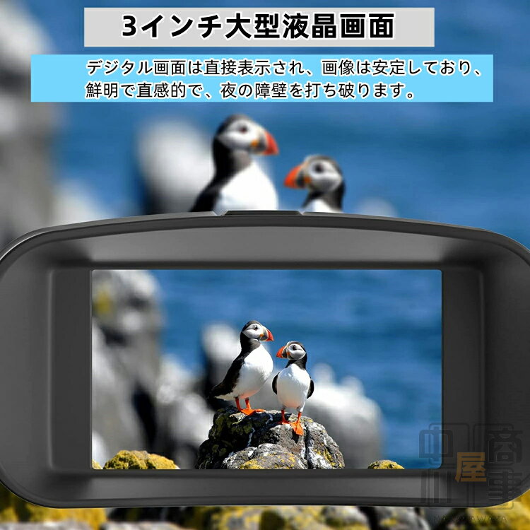 �ǥ�����Ż�� �д�Ż�� �ֳ��� �Ż륹������ �Ż르������ �ֳ�������� ��ֻ��� �Ż륫��� �ʥ��ȥ������� �д�� ˾��� �ӥǥ������ ����� �ֳ��� ˾�� Ͽ�� ư�� ��� �Ż� ���� ���Х���