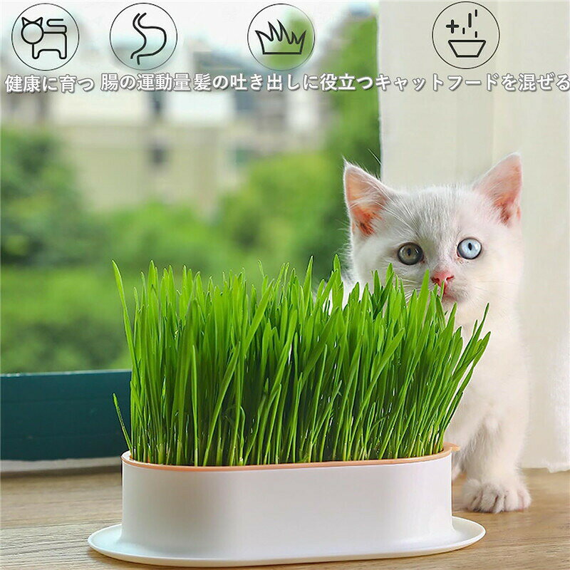 【送料無料】水耕栽培猫草 ボックス 猫草栽培セット 2個セット レイヤードデザイン トレイ発芽コンテナー 室内猫用 キャットグラストレー (ブルー +ピンク)【セット内容】猫草ボックス2個（イエロー+ブルーまたはピンク+ブルー）サイズ：18.9*12.3*4.5cm。【材質】高品質のABS製で、安全で耐久性があります。【特徴】猫草 ボックス は、水替えや草刈りがしやすいように、段差をつけたデザインになっています。【使用方法】種を水によく浸し、重ならないように注意しながらトレーの上に均等に広げ、箱の内側に水を入れて完了です。【用途】水耕栽培の猫草に使用し、毛の吐き出し、腸の蠕動運動の促進、微量元素の補給に使用できます。 また、作物（小麦若葉、緑豆など）の発芽にも使用できる。※本商品取り寄せ商品のため発送まで1日から5日(営業日)のお時間を頂いております。※モニターの発色の具合によって実際のものと色が異なる場合がございますので、ご了承ください。