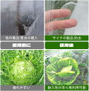 全店10％offクーポン配布中【送料無料】植物保護カバー 防虫ネット 防虫網家庭菜園 1mm超細かい 防鳥ネット 果樹 2個セット 菜園ガードネット野菜網 防虫ネット プランター用 (100*150cm)