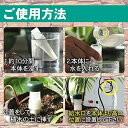 全店10％offクーポン配布中【送料無料】自動水やり器 給水キャップ 鉢植え 園芸 ガーデニング 留守中水やり (紐付き 12個セット)