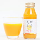 果樹ある生活 マンゴー（果汁50％） 180ml×12本