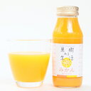 製造直販 静岡県産の美味しいみかん100％ジュース
