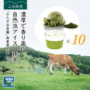 母の日 ギフト なかほら牧場 アイスクリーム 10個 抹茶 送料無料 卵不使用 無添加 詰め合わせ スイーツ グラスフェッド 有機 お取り寄せ 送料込み ［冷凍］ gift pu