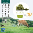 母の日 ギフト なかほら牧場 アイスクリーム 20個 抹茶 送料無料 卵不使用 無添加 詰め合わせ スイーツ グラスフェッド 有機 お取り寄せ 送料込み ［冷凍］ gift pu