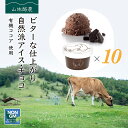 母の日 ギフト なかほら牧場 アイスクリーム 10個 チョコレート 送料無料 卵不使用 無添加 詰め合わせ スイーツ グラスフェッド 有機 お取り寄せ 送料込み ［冷凍］ gift pu