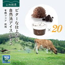 母の日 ギフト なかほら牧場 アイスクリーム 20個 チョコレート 送料無料 卵不使用 無添加 詰め合わせ スイーツ グラスフェッド 有機 お取り寄せ 送料込み ［冷凍］ gift pu