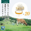 母の日 ギフト なかほら牧場 アイスクリーム 20個 送料無料 プレミアム 無添加 生クリーム 詰め合わせ スイーツ ご褒美 卵不使用 グラスフェッド お祝い 内祝 熨斗 誕生日 お取り寄せ 送料込み ［冷凍］ gift pu