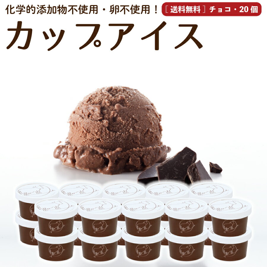 お中元 御中元 なかほら牧場 プレゼント ギフト アイスクリーム 20個 チョコレート 送料無料 卵不使用 無添加 詰め合わせ スイーツ グラスフェッド 有機 お取り寄せ 送料込み ［冷凍］ gift