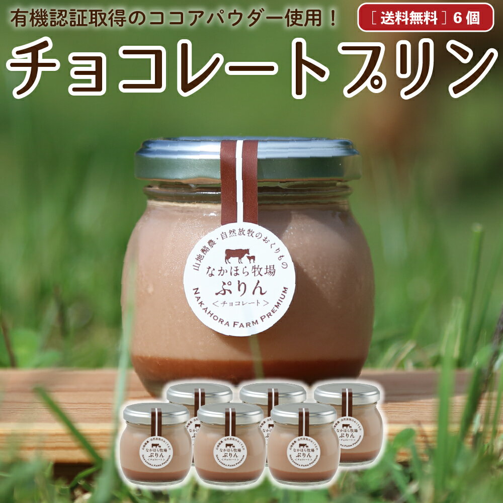 高級チョコレート（5000円程度） 父の日 お中元 ギフト なかほら牧場 スイーツ プリン 送料無料 詰め合わせ チョコレートプリン 6個 濃厚 無添加 お菓子 マツコの知らない世界 瓶入り お取り寄せ ランキング 内祝 誕生日 熨斗 ［冷蔵］ nov pu gift