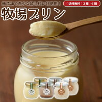 プリン 6個 濃厚 送料無料 詰め合わせ カスタード ほうじ茶 チョコレート 無添加 スイーツ ギフト 誕生日 ザワつく金曜日 マツコの知らない世界 瓶入り お取り寄せ ［冷蔵］nov