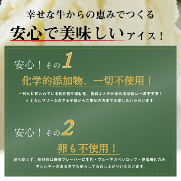 母の日ギフト アイスクリーム 6個 送料無料 プレミアム 生クリーム 詰め合わせ スイーツ ご褒美 無添加 卵不使用 グラスフェッド お取り寄せ 送料込み ホワイトデー［冷凍］ gift