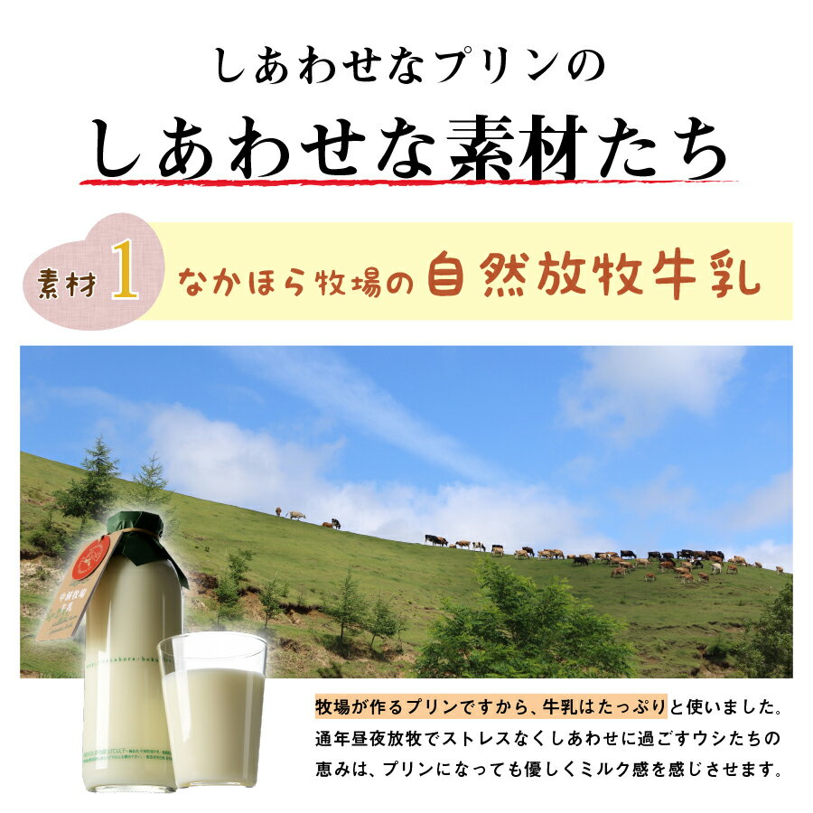 【5%OFF★5/15限定】母の日 遅れてごめんね ギフト なかほら牧場 手作り プリン 12個 濃厚 送料無料 詰め合わせ カスタード ほうじ茶 チョコレート 無添加 スイーツ 誕生日 マツコの知らない世界 お取り寄せ 岩手 2024［冷蔵］nov pu gift 3