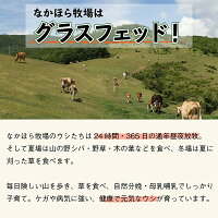 《スーパーSALEクーポン&P5倍!》なかほら牧場グラスフェッドビーフ・カレー・ギフトセット〔辛口:5個〕ビーフカレーレトルト温めるだけお歳暮プレゼント自然放牧牧場直送無農薬有機グラスフィニッシュ山地酪農個包装