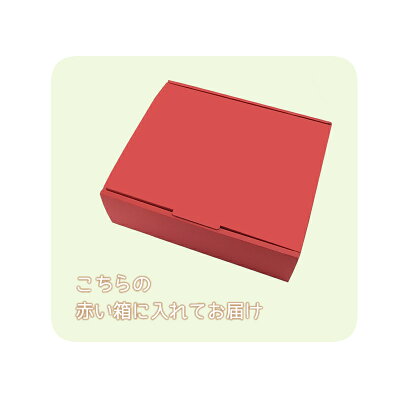 箱サンプル