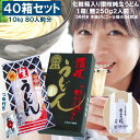 楽天nakajapanうどん 贈答用化粧箱入り讃岐純生うどん 40箱セット 80人前 10kg （1箱 麺250g 濃縮つゆ15ml） 手提げ袋40枚付き A-3【香西麺業 正規販売店 公式 香西のさぬきうどん 香川県 sanuki 箱入り まとめ買い おいしい】