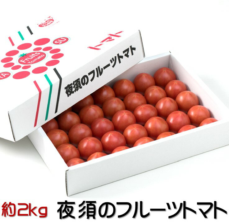 送料無料】【市場直送】JA高知県 とさかみ 夜須のフルーツトマト 野菜 きのこ とまと 産地箱 系統品